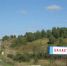 Красноярские леса –  под прицелом вредителя - Газета Сельская новь