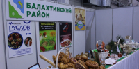 false - Газета Сельская новь